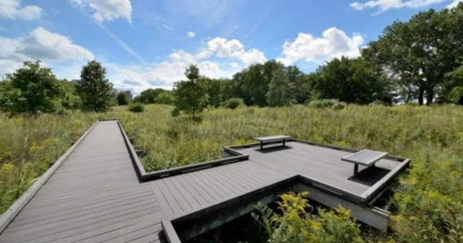 48 Hours in Chicago – Travel Guide 