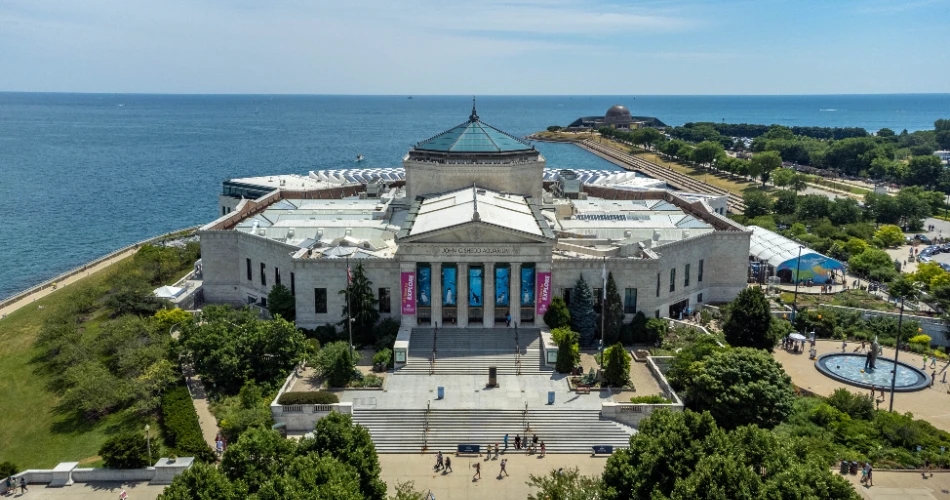 48 Hours in Chicago – Travel Guide 