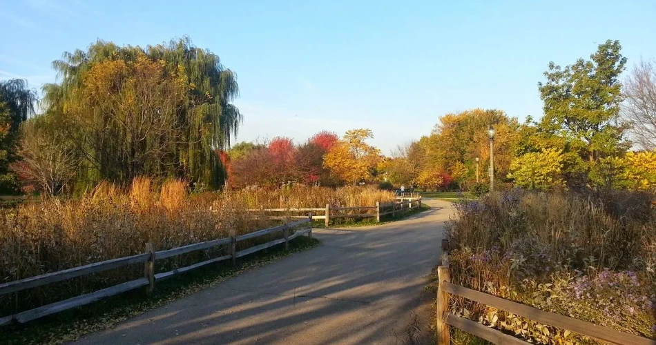 48 Hours in Chicago – Travel Guide 