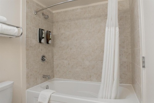 Chicago South Loop Hotel image 11
