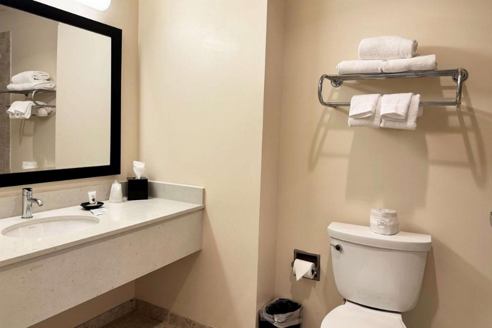 Chicago South Loop Hotel Image 16