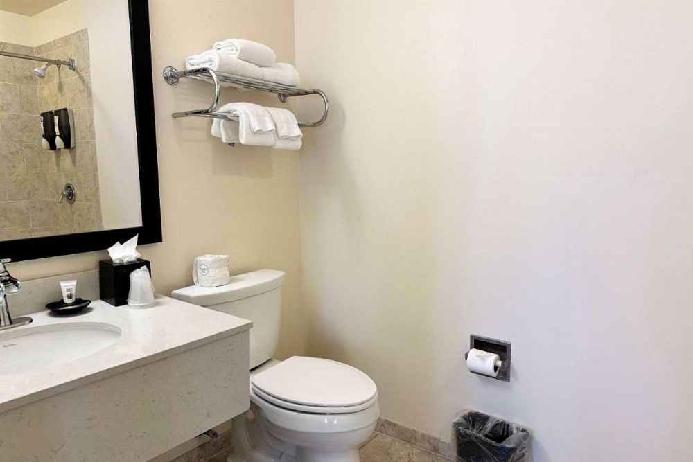 Chicago South Loop Hotel Image 18
