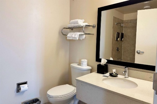 Chicago South Loop Hotel image 19