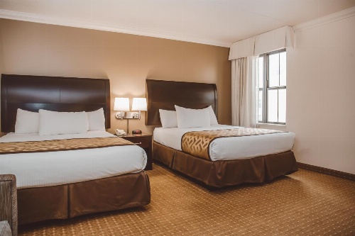 Chicago South Loop Hotel image 4